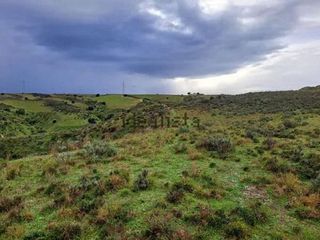 Terreno en venta en Molar (El)