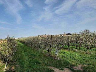 Terreno en venta en Alfaro