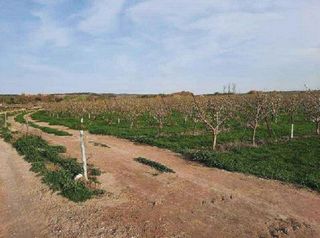 Terreno en venta en Alfaro