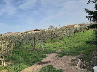 Terreno en venta en Alfaro