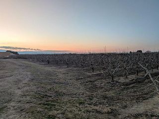 Terreno en venta en Alfaro