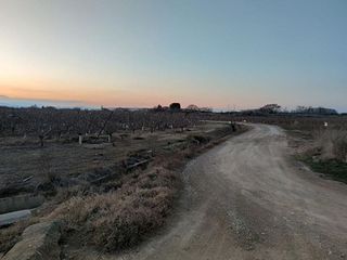 Terreno en venta en Alfaro