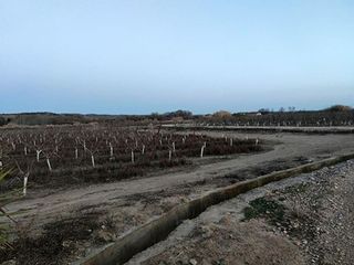 Terreno en venta en Alfaro