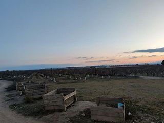 Terreno en venta en Alfaro