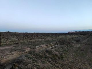 Terreno en venta en Alfaro