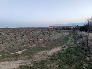 Terreno en venta en Alfaro