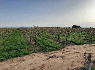 Terreno en venta en Alfaro