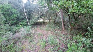 Solar en venta en Artà