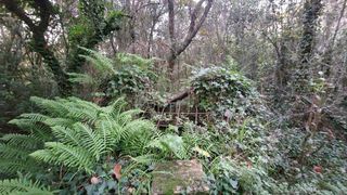 Solar en venta en Artà