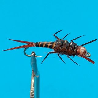 Insectos Señuelo - Moscas para Pesca