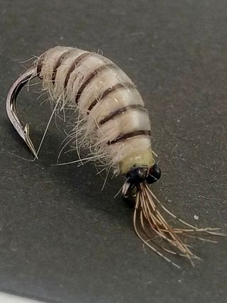 Insectos Señuelo - Moscas para Pesca