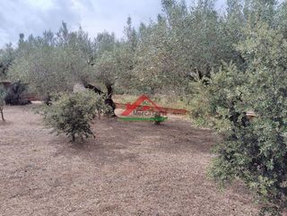 Casa rural en venta en Les Salines en Vinaròs