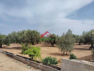 Casa rural en venta en Les Salines en Vinaròs