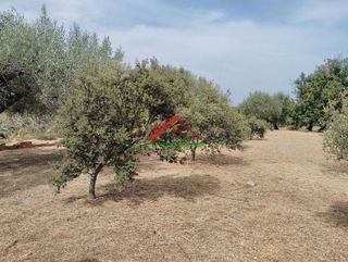 Casa rural en venta en Les Salines en Vinaròs