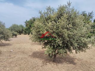 Casa rural en venta en Les Salines en Vinaròs
