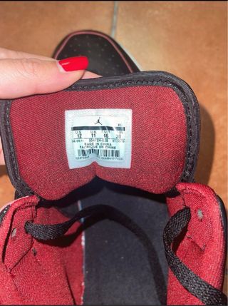 Nike Air Jordan Special Edition Sneakers Alte