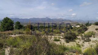 Terreno en venta en Aspe