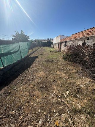 Local comercial en venta en Olivares