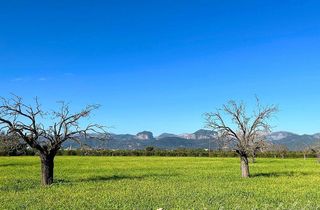 Casa rural en venta en Alaró