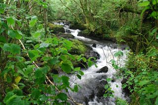 Casa en venta en Cedeira