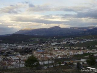Terreno en venta en Lucena