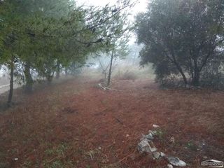 Terreno en venta en Lucena