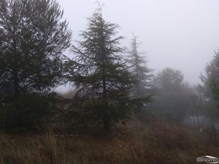 Terreno en venta en Lucena