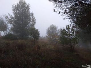 Terreno en venta en Lucena