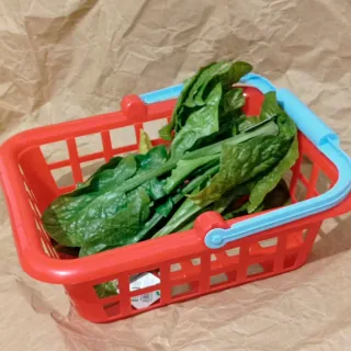 Tienda de Juguete Eichhorn Madera