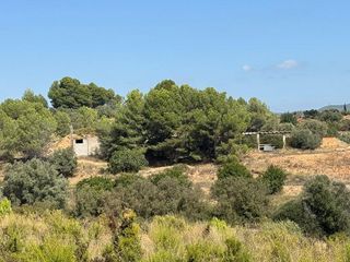 Terreno en venta en Jérica