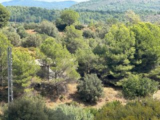 Terreno en venta en Jérica