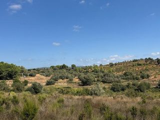 Terreno en venta en Jérica