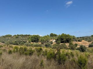 Terreno en venta en Jérica