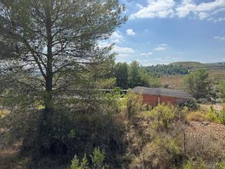 Terreno en venta en Jérica