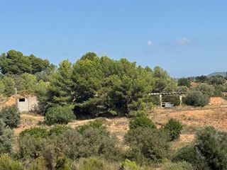 Terreno en venta en Jérica