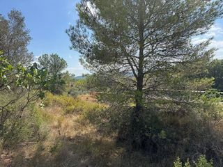 Terreno en venta en Jérica