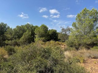 Terreno en venta en Jérica