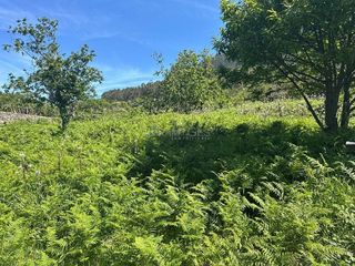 Solar en venta en Oia