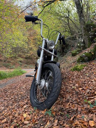 Harley Davidson Dyna Street Bob