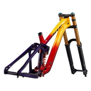 Cuadro Giant Glory Advanced -FF 2024 (talla M/L)