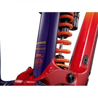 Cuadro Giant Glory Advanced -FF 2024 (talla M/L)