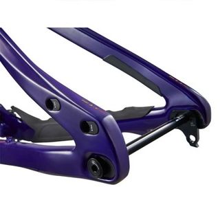 Cuadro Giant Glory Advanced -FF 2024 (talla M/L)