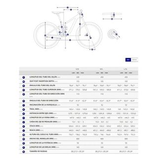 Cuadro Giant Glory Advanced -FF 2024 (talla M/L)