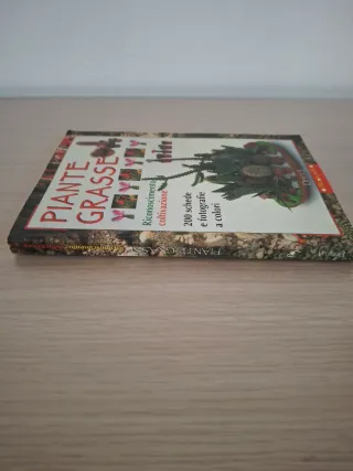 Piante grasse riconoscimento e coltivazione