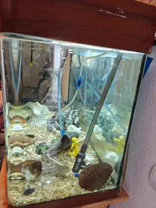Acuario 300L con resistencia y filtro