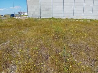 Terreno en venta en Almagro