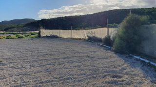 Terreno en venta en Arico