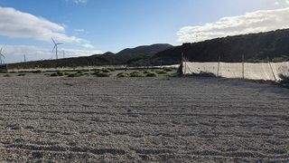 Terreno en venta en Arico