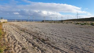 Terreno en venta en Arico