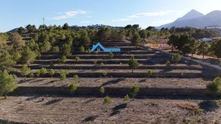 Terreno en venta en Nucia (la)